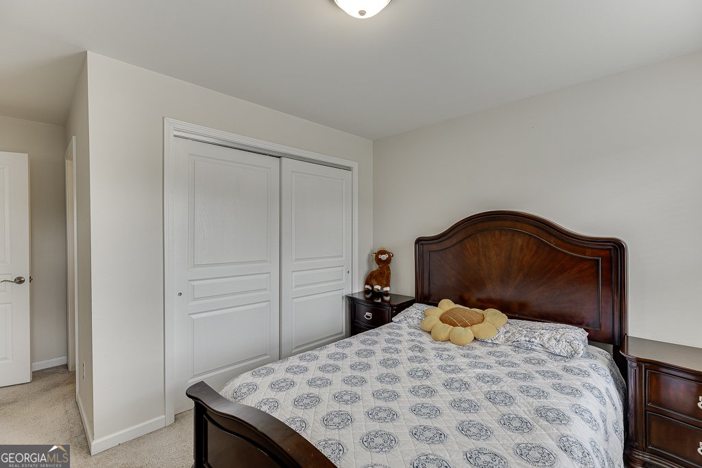 6438 Hickory Branch Drive Hoschton - 23