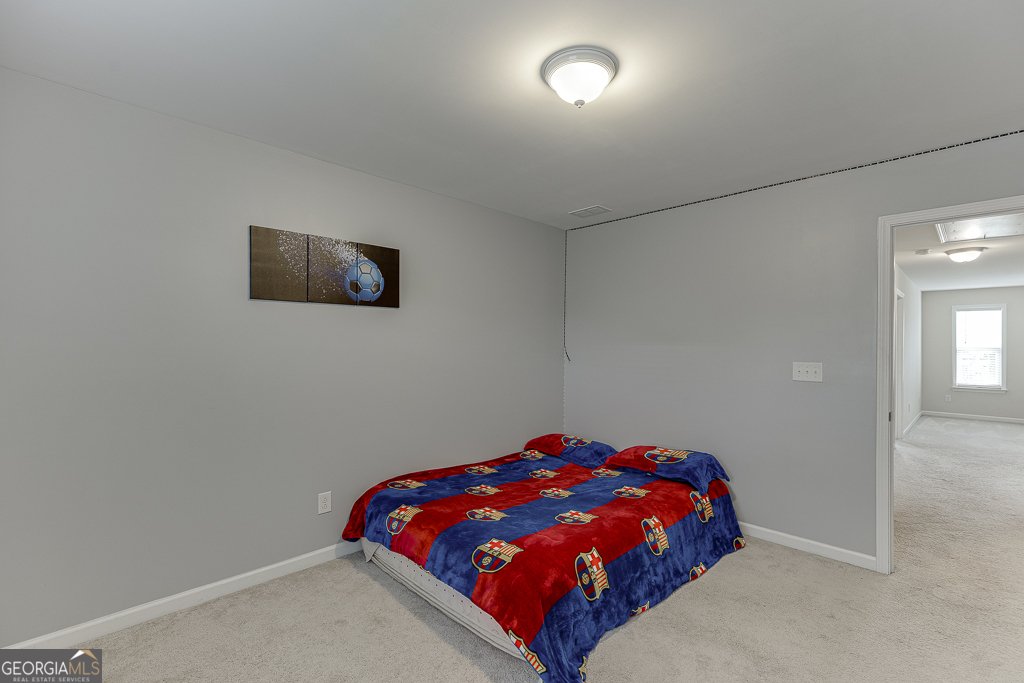 6438 Hickory Branch Drive Hoschton - 29