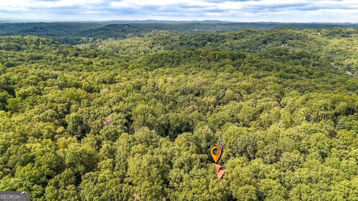 145 Rockingham Way Ellijay - 10
