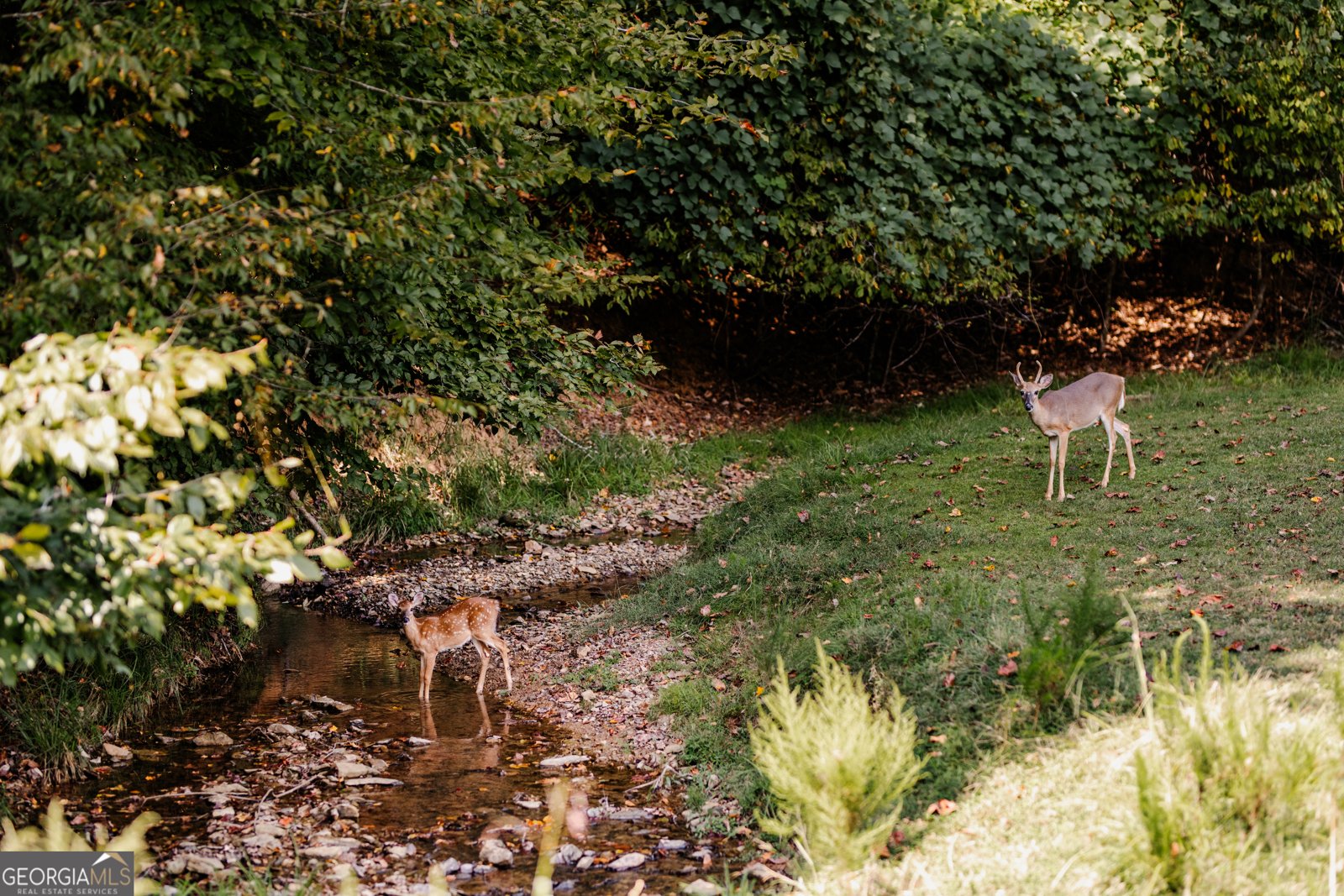 145 Rockingham Way Ellijay - 43