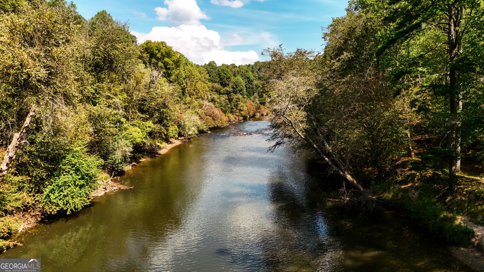 145 Rockingham Way Ellijay - 59