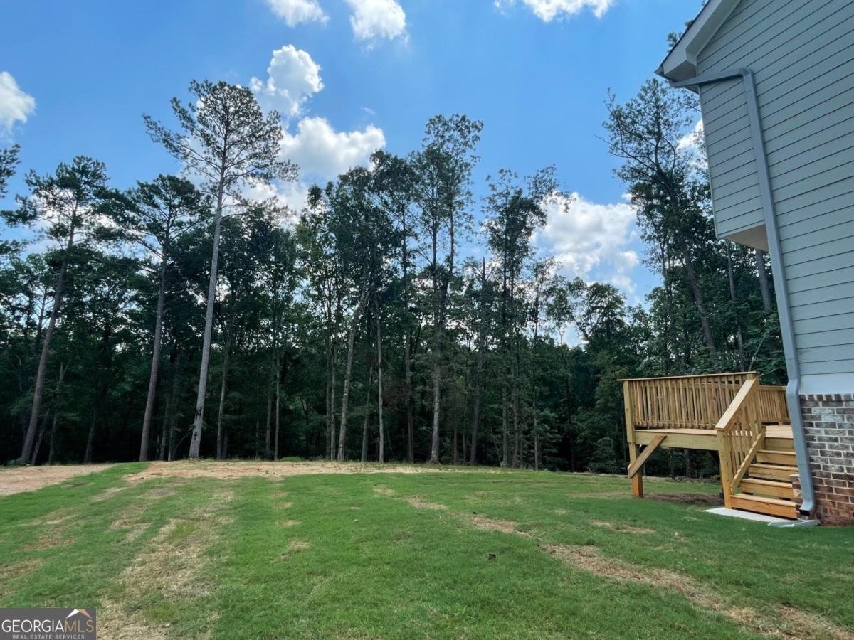 3294 Mill Forest Drive Conyers - 21