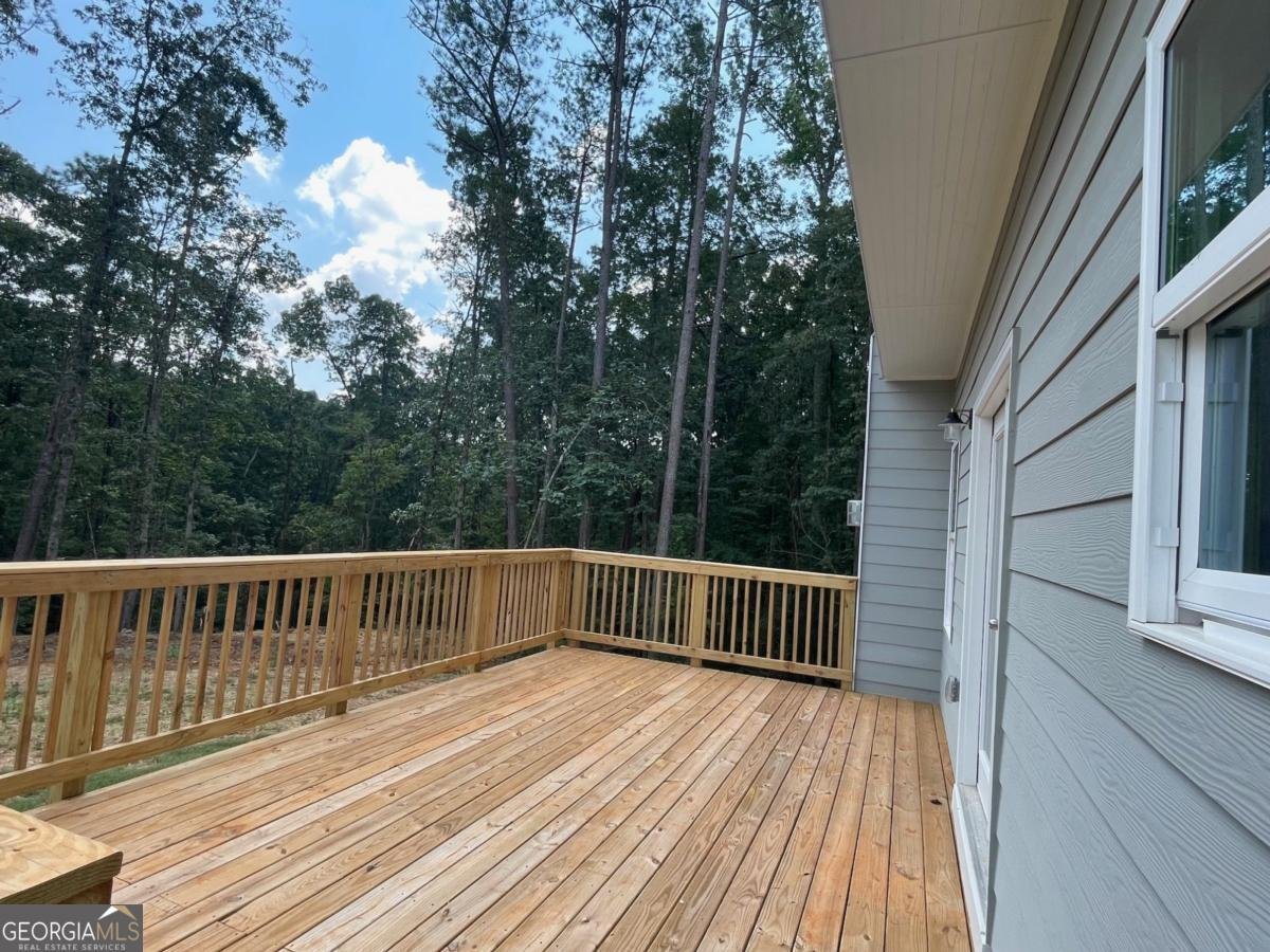 3294 Mill Forest Drive Conyers - 22
