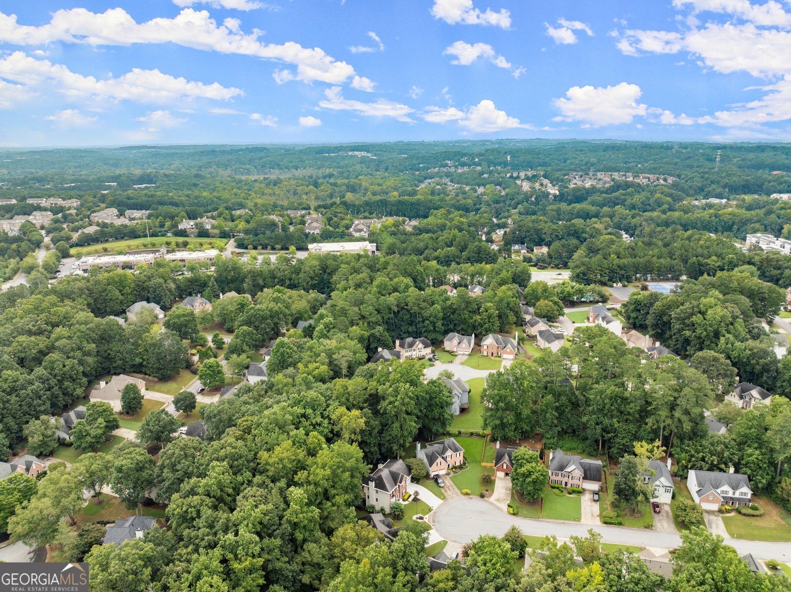 1504 Clydesdale Court Suwanee - 60