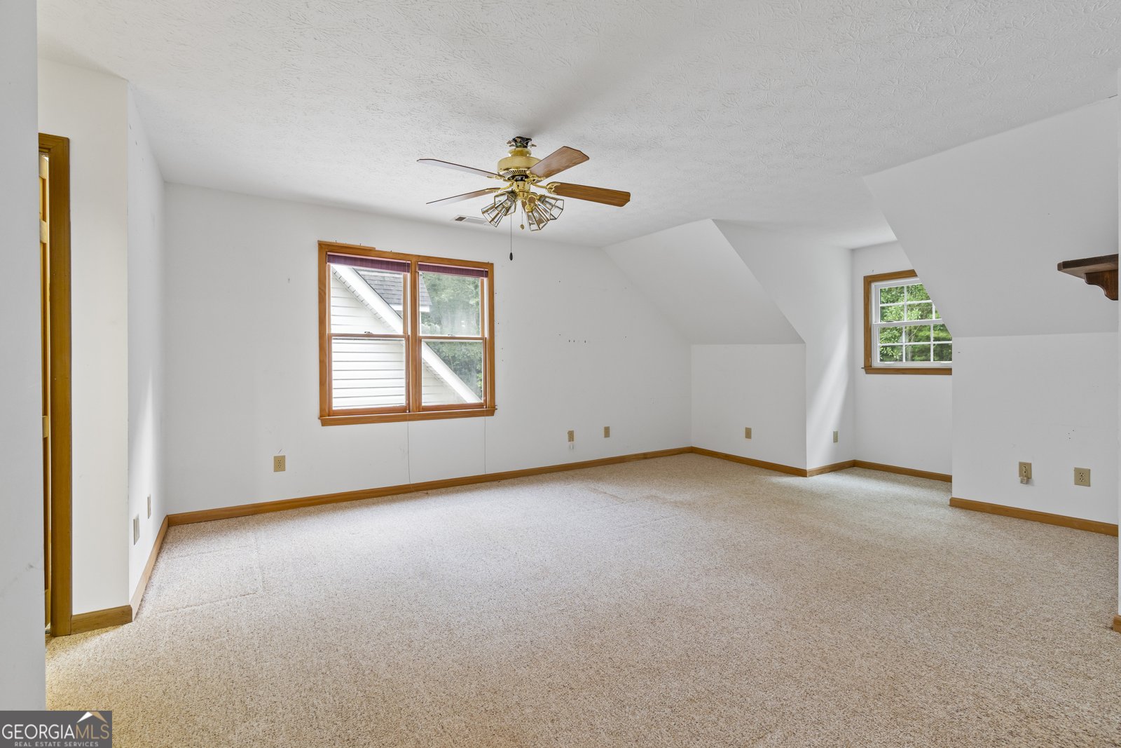 399 Shane Drive Canton - 11