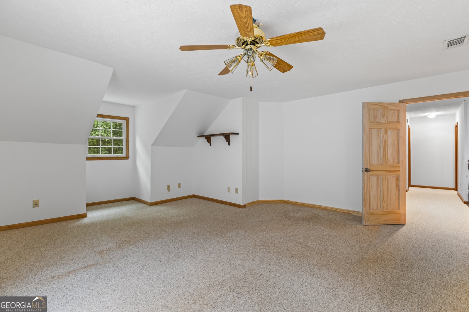399 Shane Drive Canton - 12