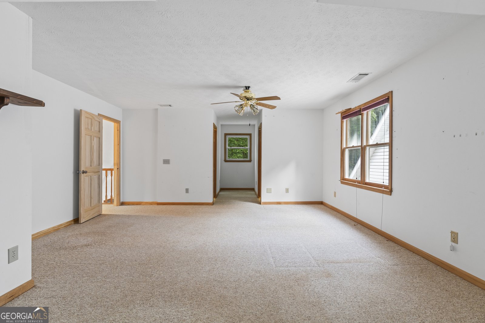 399 Shane Drive Canton - 13