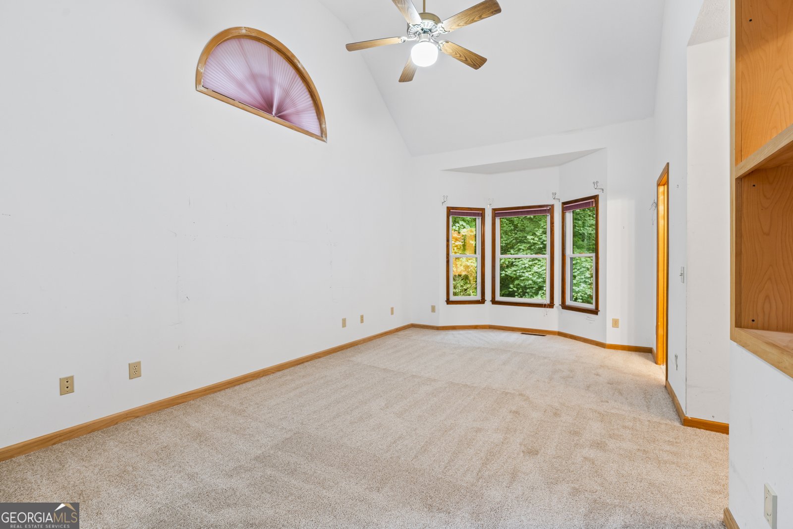 399 Shane Drive Canton - 42