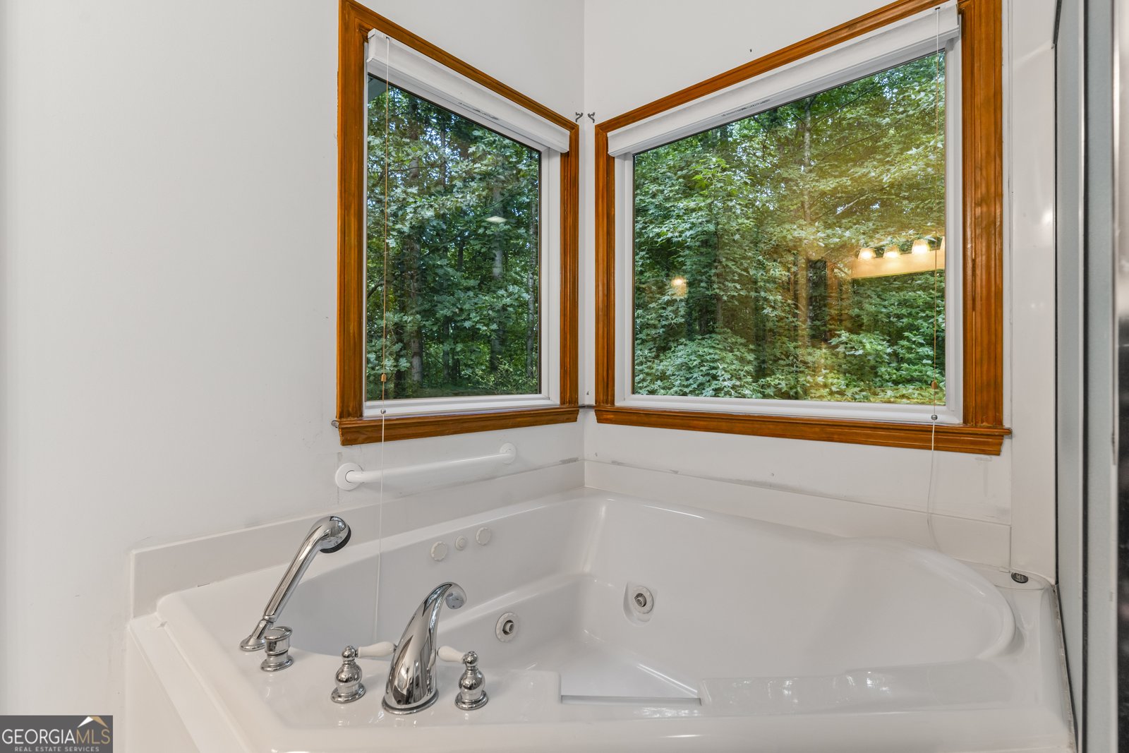 399 Shane Drive Canton - 6