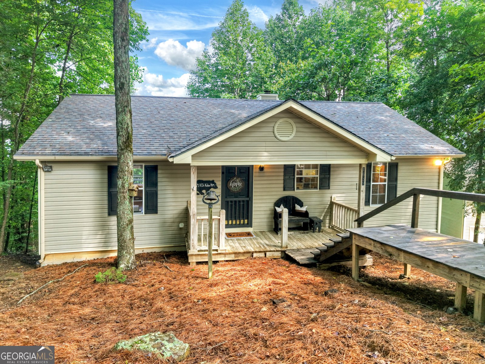 1689 Walnut Ridge Ellijay - 1