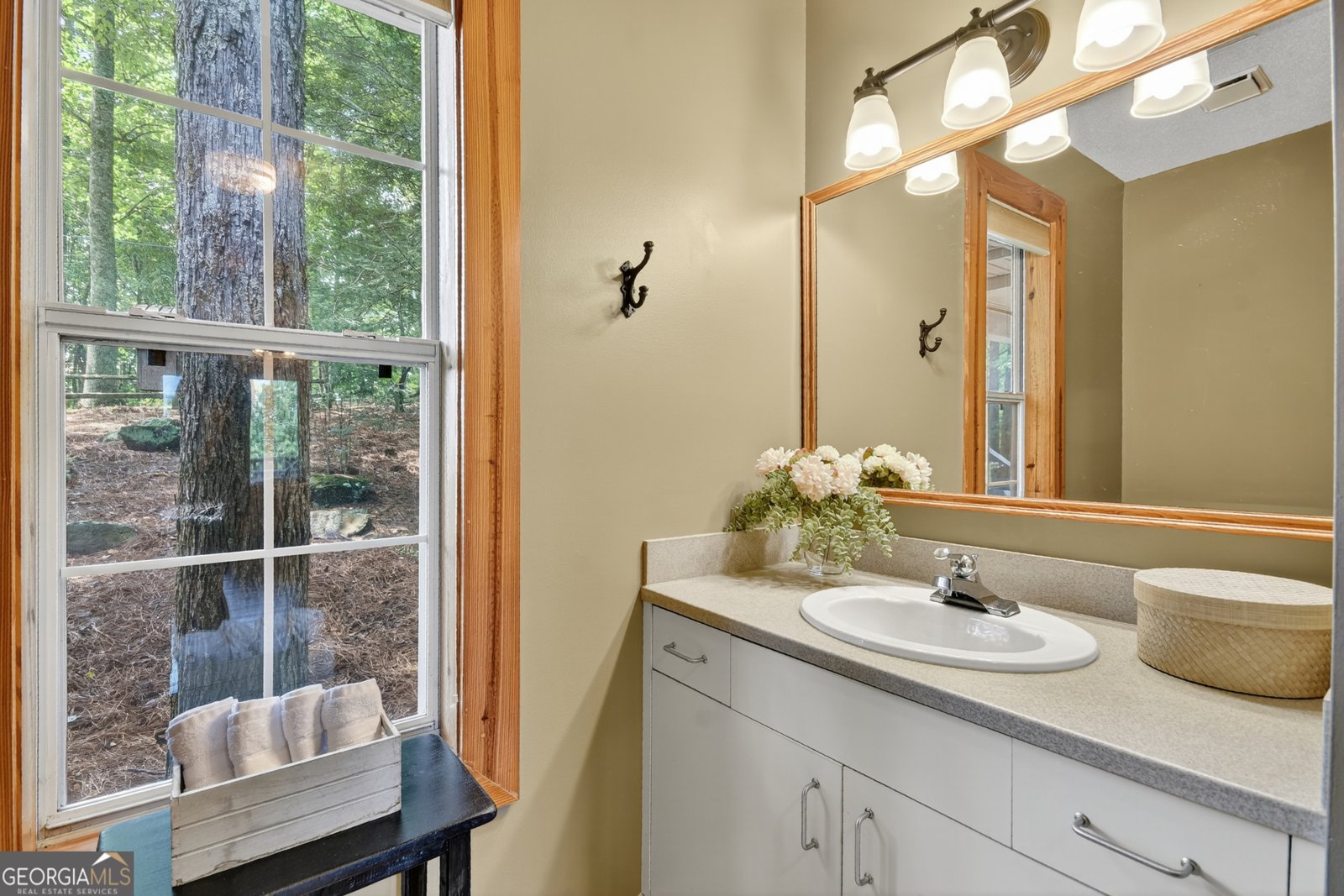 1689 Walnut Ridge Ellijay - 15