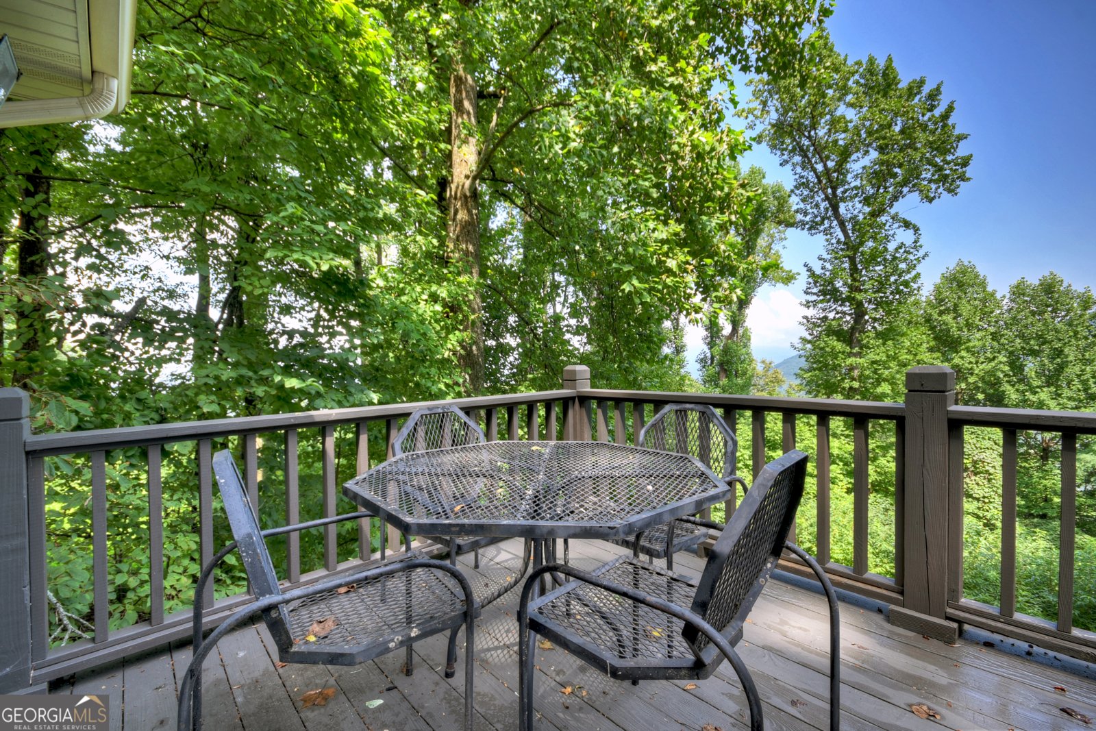 1689 Walnut Ridge Ellijay - 28