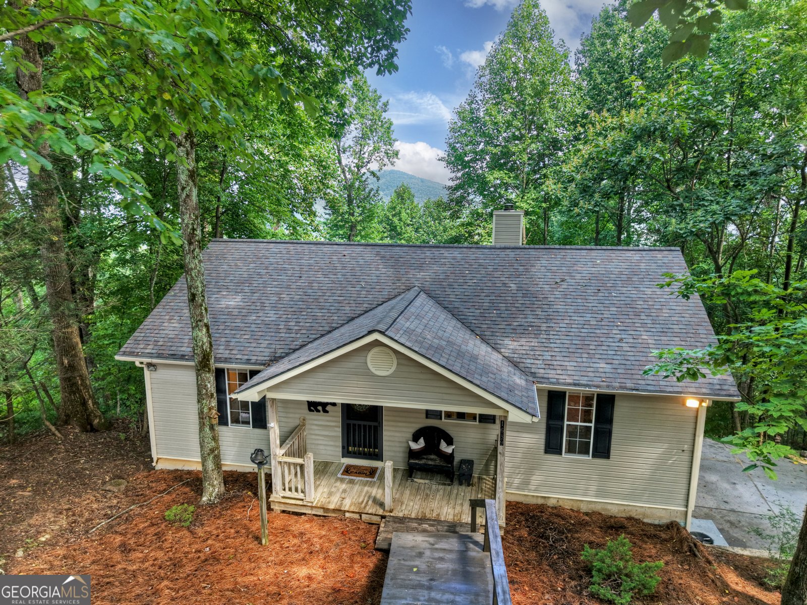1689 Walnut Ridge Ellijay - 30