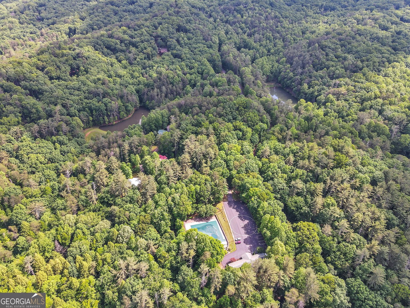 1689 Walnut Ridge Ellijay - 34