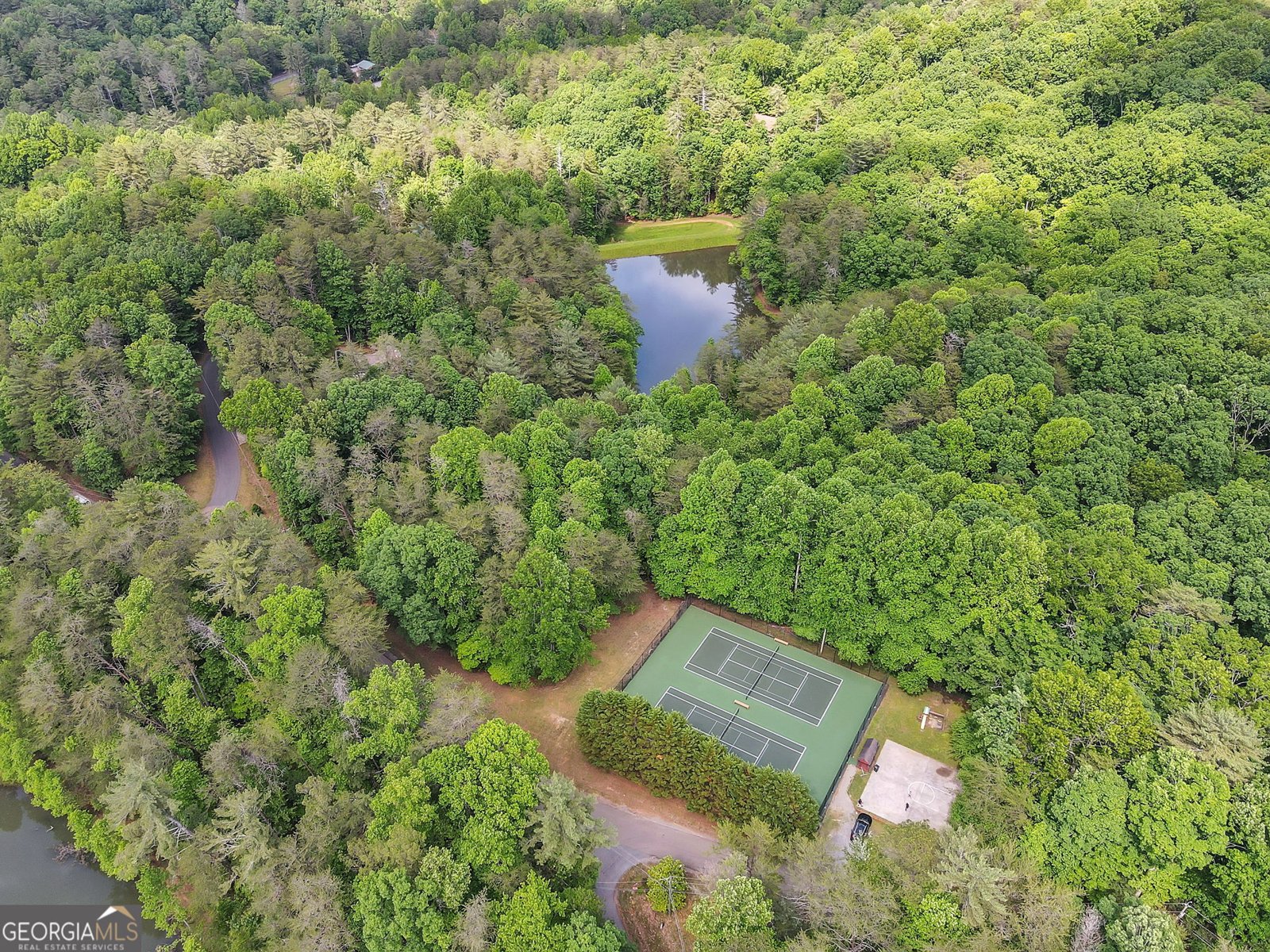 1689 Walnut Ridge Ellijay - 35
