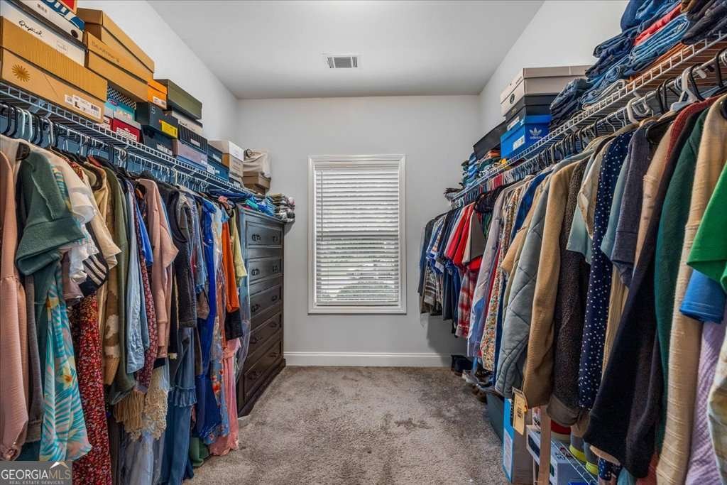 383 Flowing Trail Dawsonville - 29