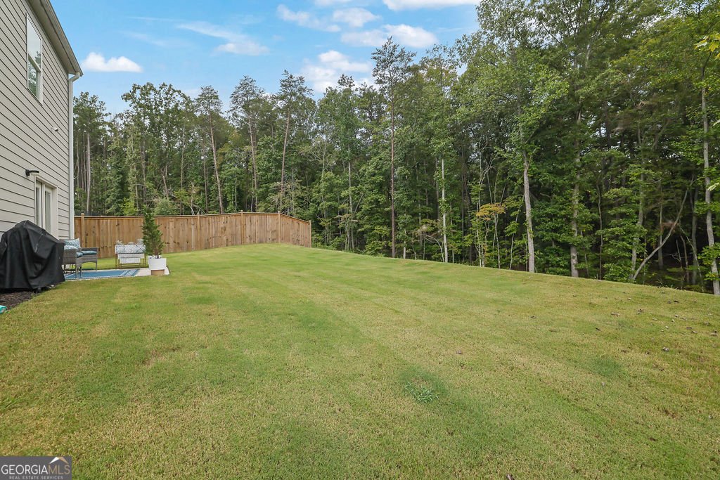 197 Whitewood Drive Dawsonville - 28