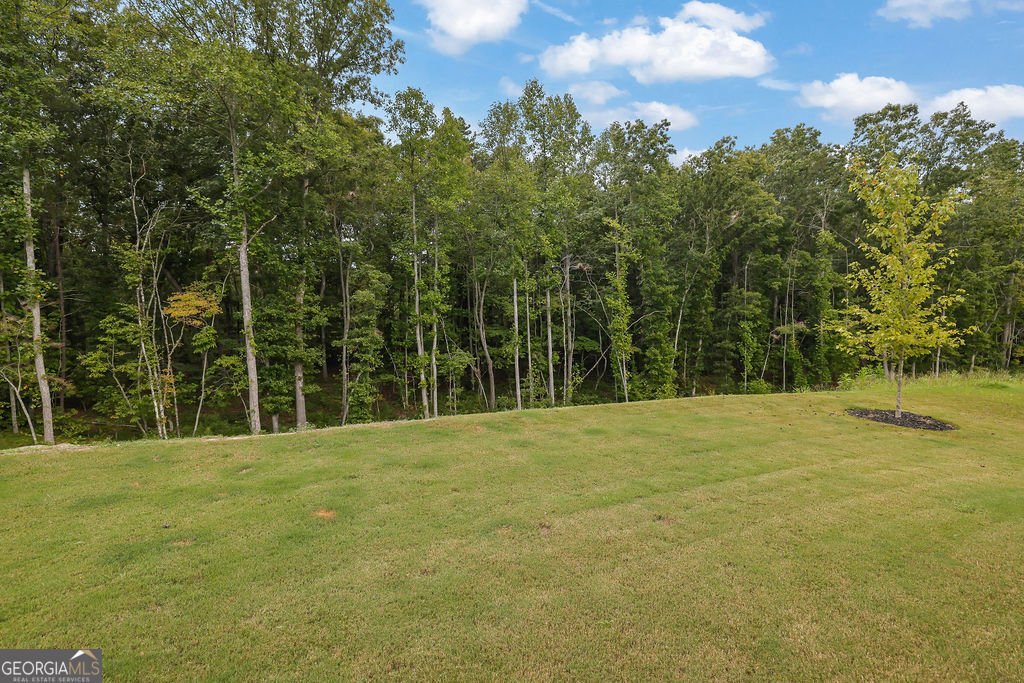 197 Whitewood Drive Dawsonville - 29