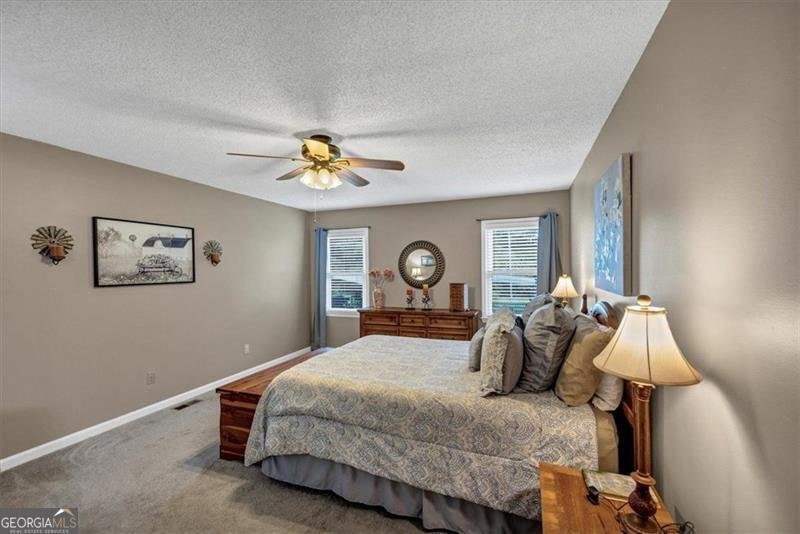 5283 MEADOWS Road Powder Springs - 6