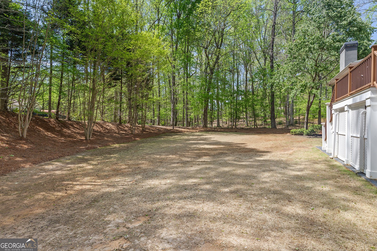 335 Birkdale Drive Fayetteville - 11