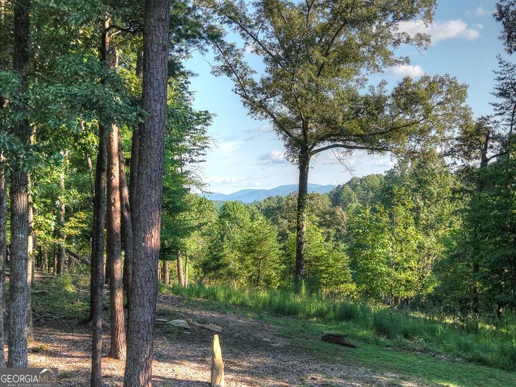275 Autumn Ridge Drive Mineral Bluff - 16