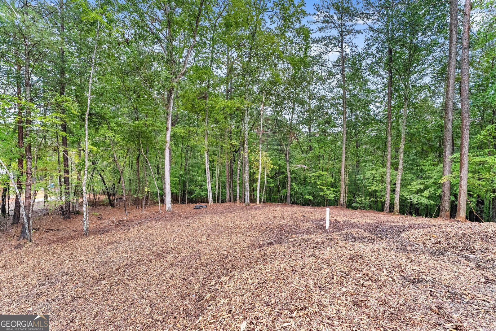 193 Haven Court Ellijay - 23