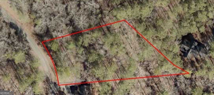 193 Haven Court Ellijay - 24
