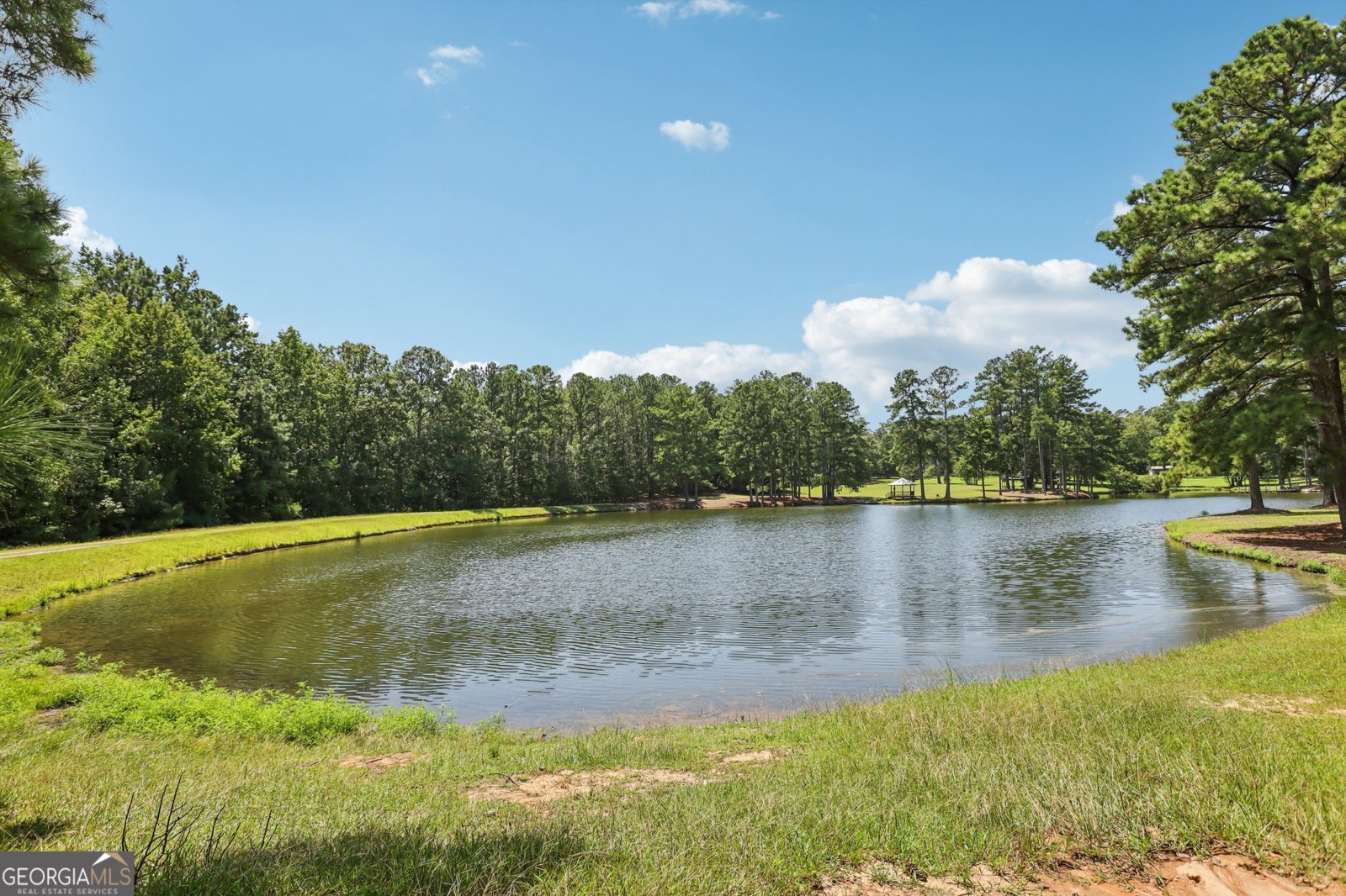 260 Ancient Oak Lane Newnan - 30