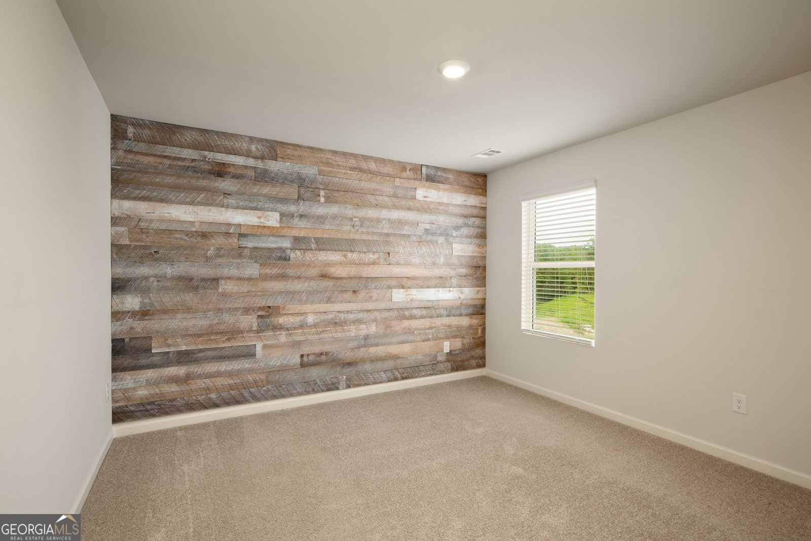 101 White Cedar Drive Dawsonville - 30