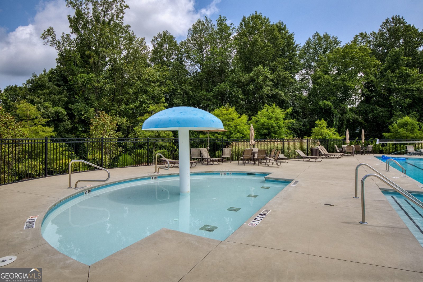 101 White Cedar Drive Dawsonville - 45