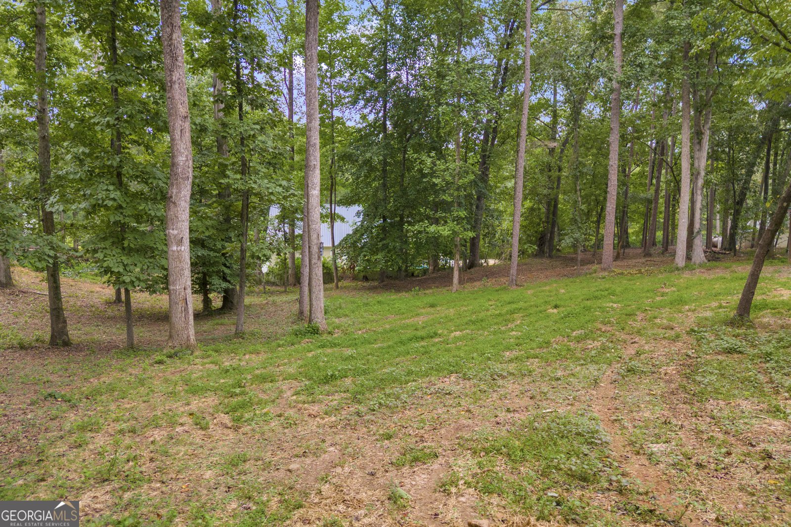 151 Del Ray Drive Maysville - 54
