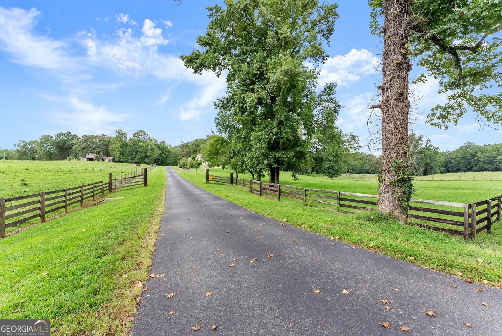 338 Black Road Cleveland - 54