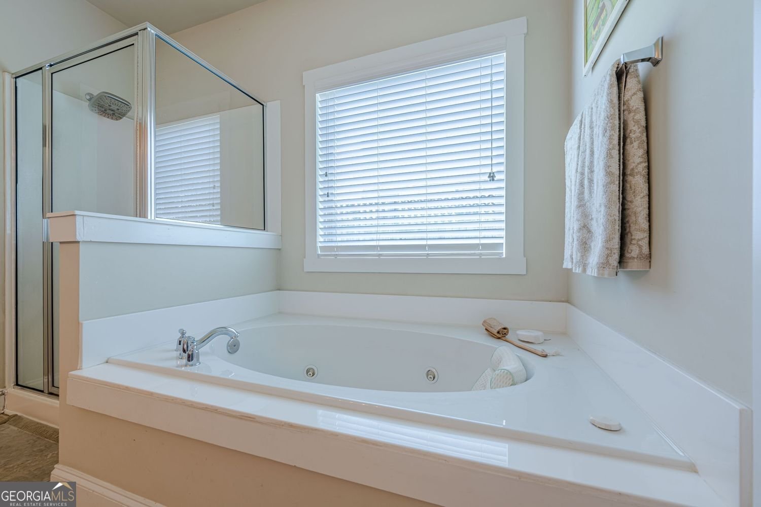 1419 Kilchis Falls Way Braselton - 10