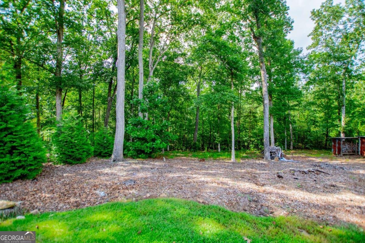 149 Laurel Lakes Drive Carrollton - 40
