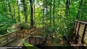 1125 Blackshear Drive Decatur - 34
