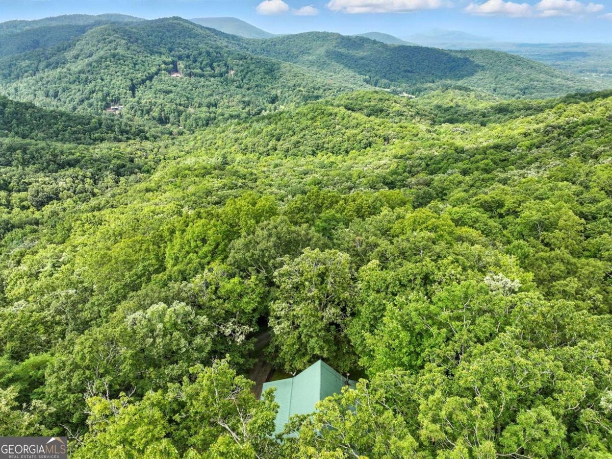 59 Bear Track Trail Morganton - 27