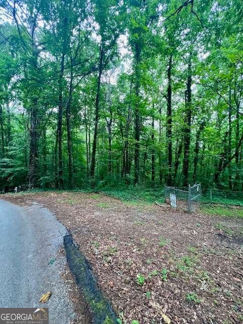 660 Hickory + 3 contiguous parcels Trail Mableton - 17