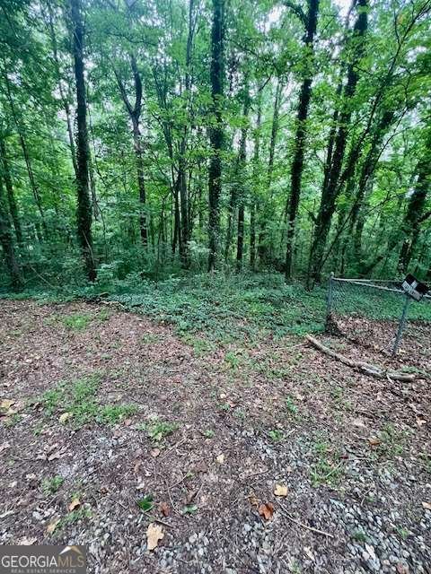 660 Hickory + 3 contiguous parcels Trail Mableton - 18