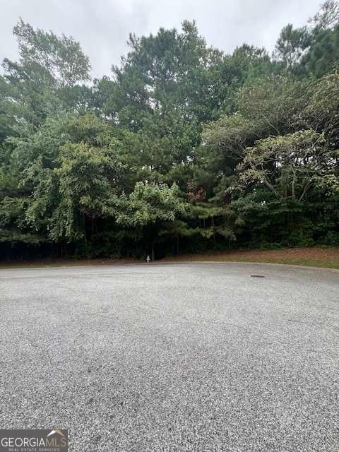660 Hickory + 3 contiguous parcels Trail Mableton - 22