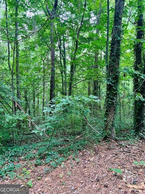 660 Hickory + 3 contiguous parcels Trail Mableton - 6