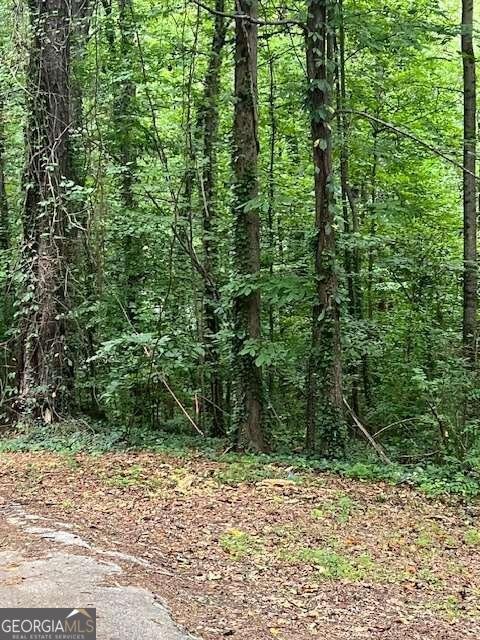 660 Hickory + 3 contiguous parcels Trail Mableton - 7