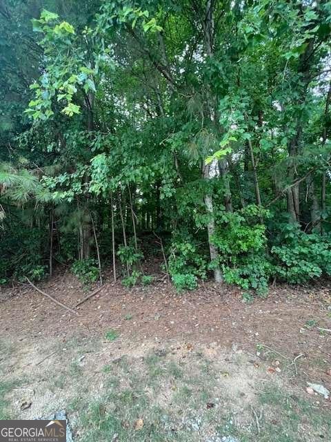 660 Hickory + 3 contiguous parcels Trail Mableton - 9