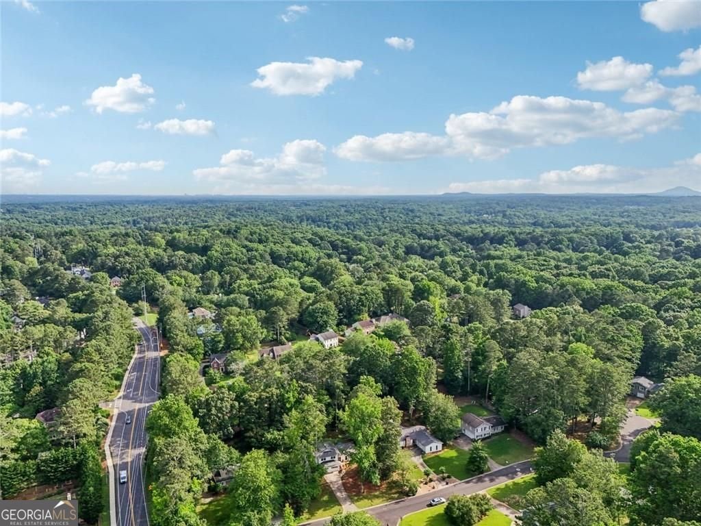 4363 Old Mabry Road Roswell - 48