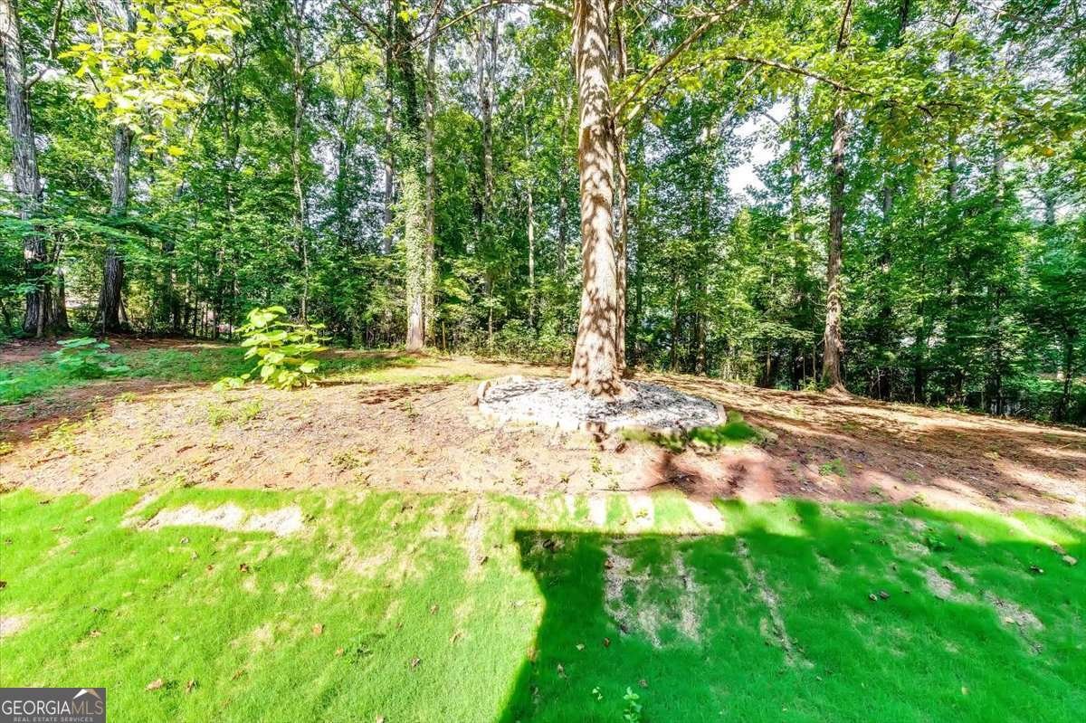 106 Bob White Drive Stockbridge - 9