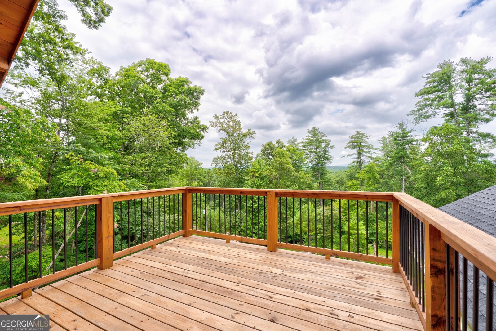 475 Parnell Drive Ellijay - 38