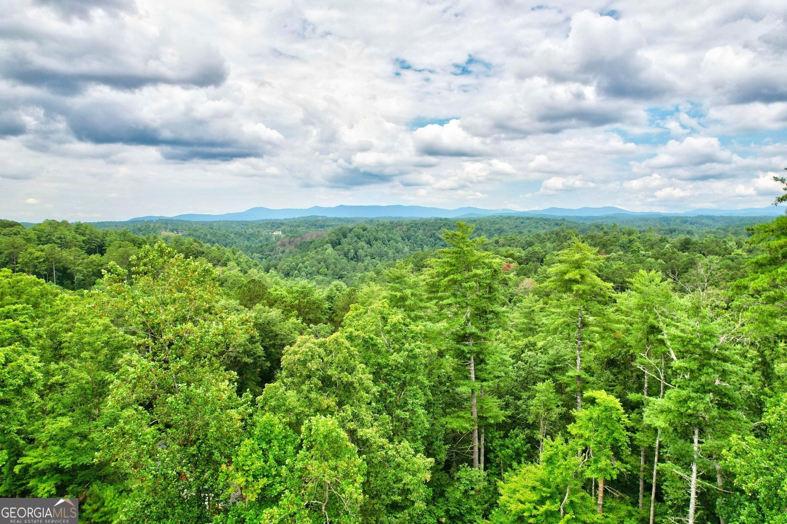 475 Parnell Drive Ellijay - 41