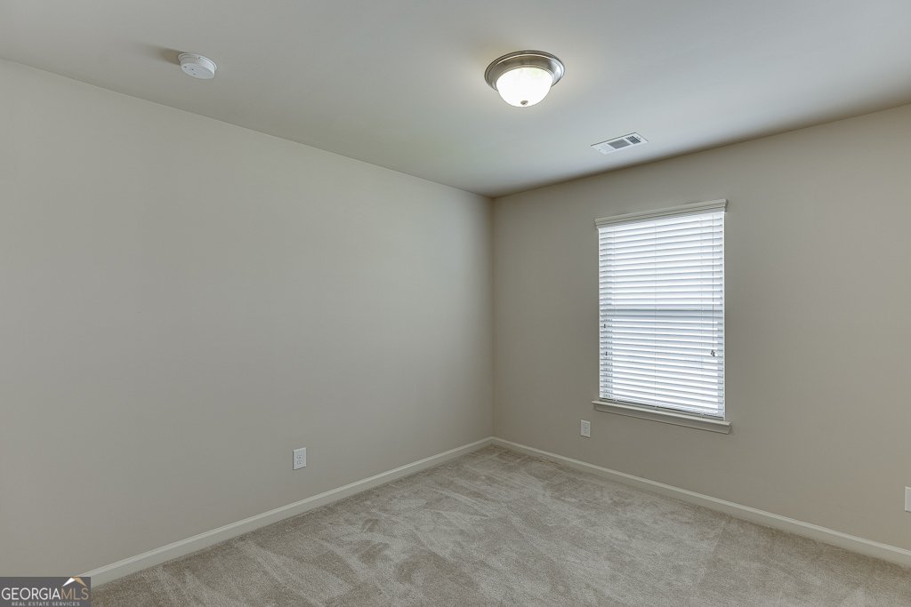 3315 Sardis Bend Drive Buford - 22