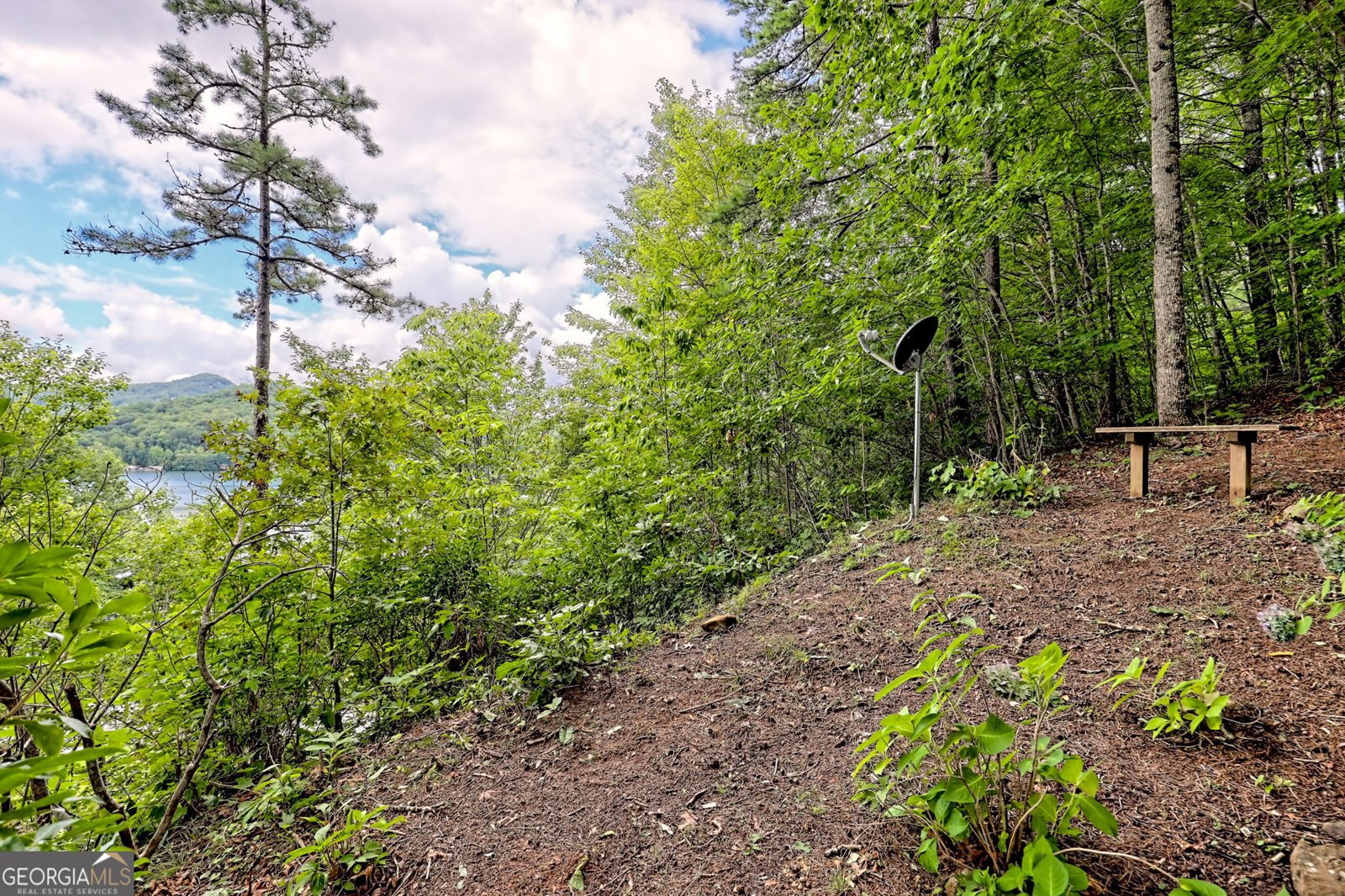 188 Magnolia Place Trail Clayton - 81