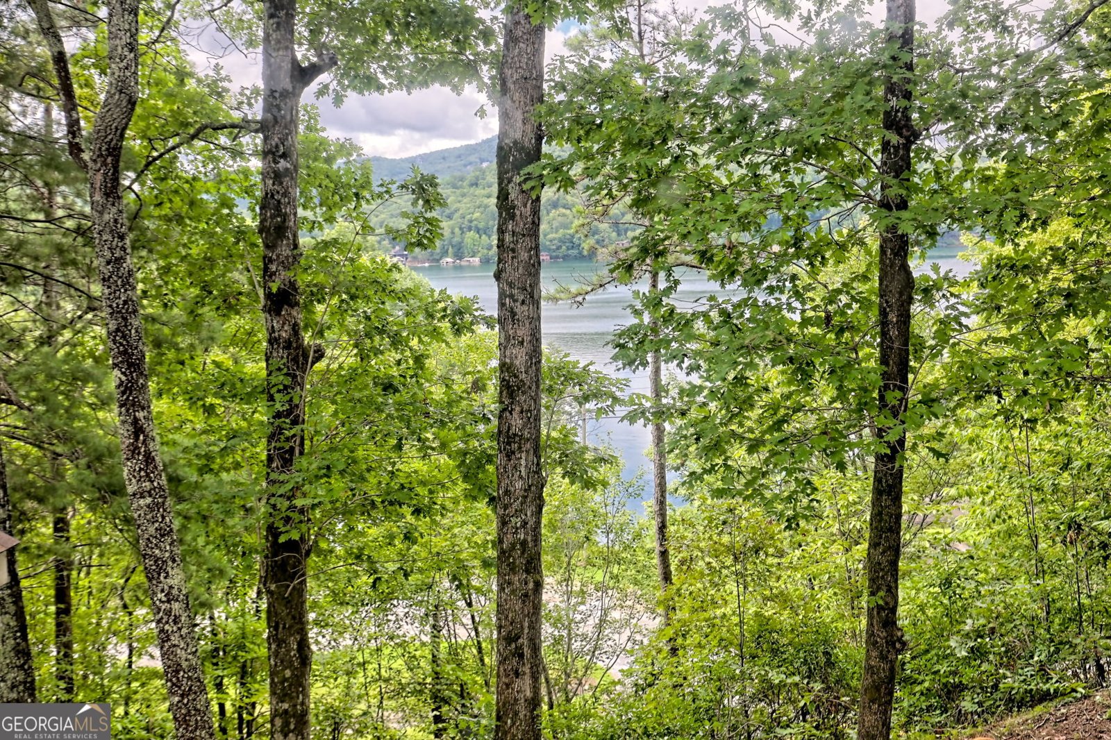 188 Magnolia Place Trail Clayton - 87