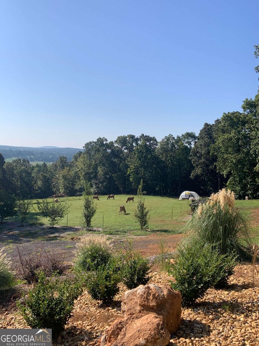 550 Freeman Ferry Road Rome - 33